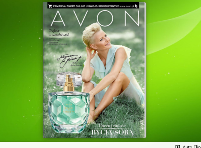 Avon Siber Katalog
